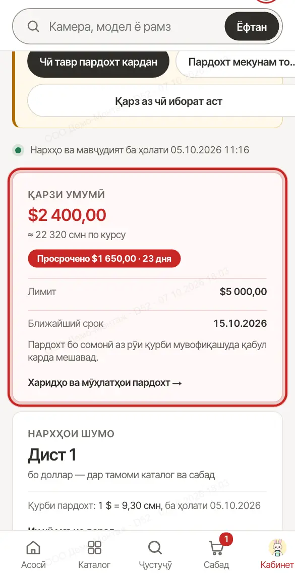 Карточаи «Қарзи умумӣ» (намуна)